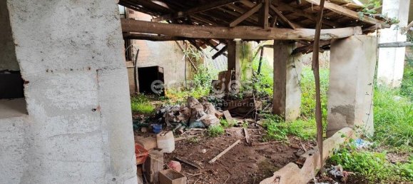 5 Schlafzimmer Haus in Sarzedas, Portugal, Nr. 77554 37