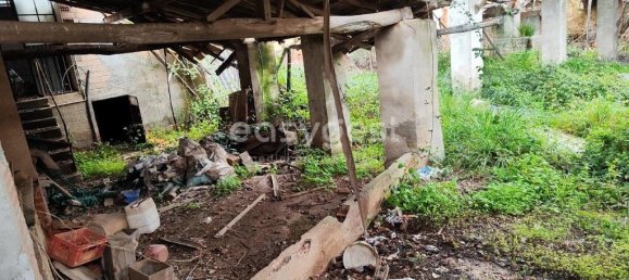 5 Schlafzimmer Haus in Sarzedas, Portugal, Nr. 77554 36