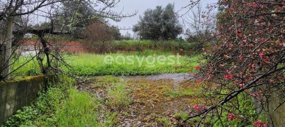 5 Schlafzimmer Haus in Sarzedas, Portugal, Nr. 77554 30