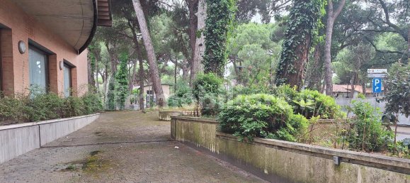 Коммерческая недвижимость 205м² в Червия, Италия № 317016 13