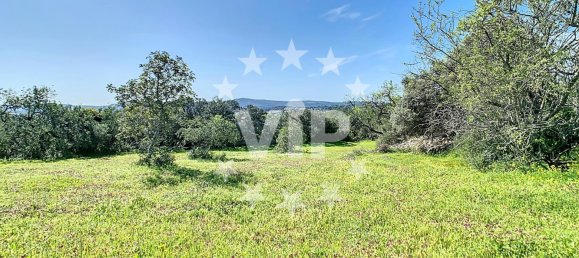 Terreno T4 em Salir, Portugal N.º 110299 2