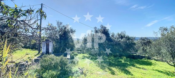 Terreno T4 em Salir, Portugal N.º 110299 17