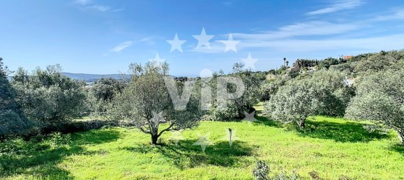 Terreno T4 em Salir, Portugal N.º 110299 18