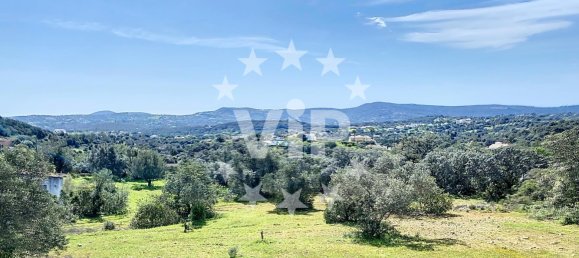 Terreno T4 em Salir, Portugal N.º 110299 21