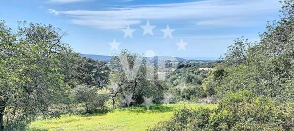 Terreno T4 em Salir, Portugal N.º 110299 19