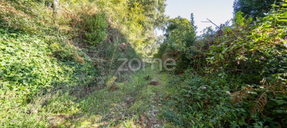 4 غرف نوم منزل في Felgueiras, Portugal رقم 86933 41