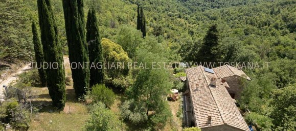 12 rooms House in Radda in Chianti, Italy No. 117856 41