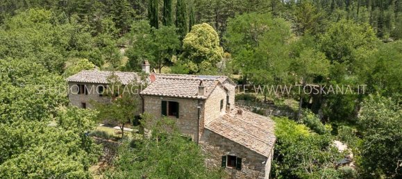 12 rooms House in Radda in Chianti, Italy No. 117856 2