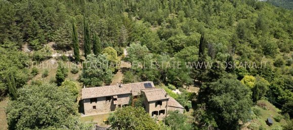 12 rooms House in Radda in Chianti, Italy No. 117856 7