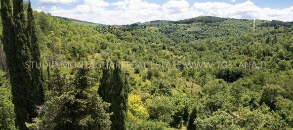 12 rooms House in Radda in Chianti, Italy No. 117856 38