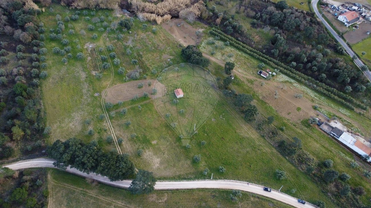 Terreno em Tomar, Portugal 44000 m² N.º 71219