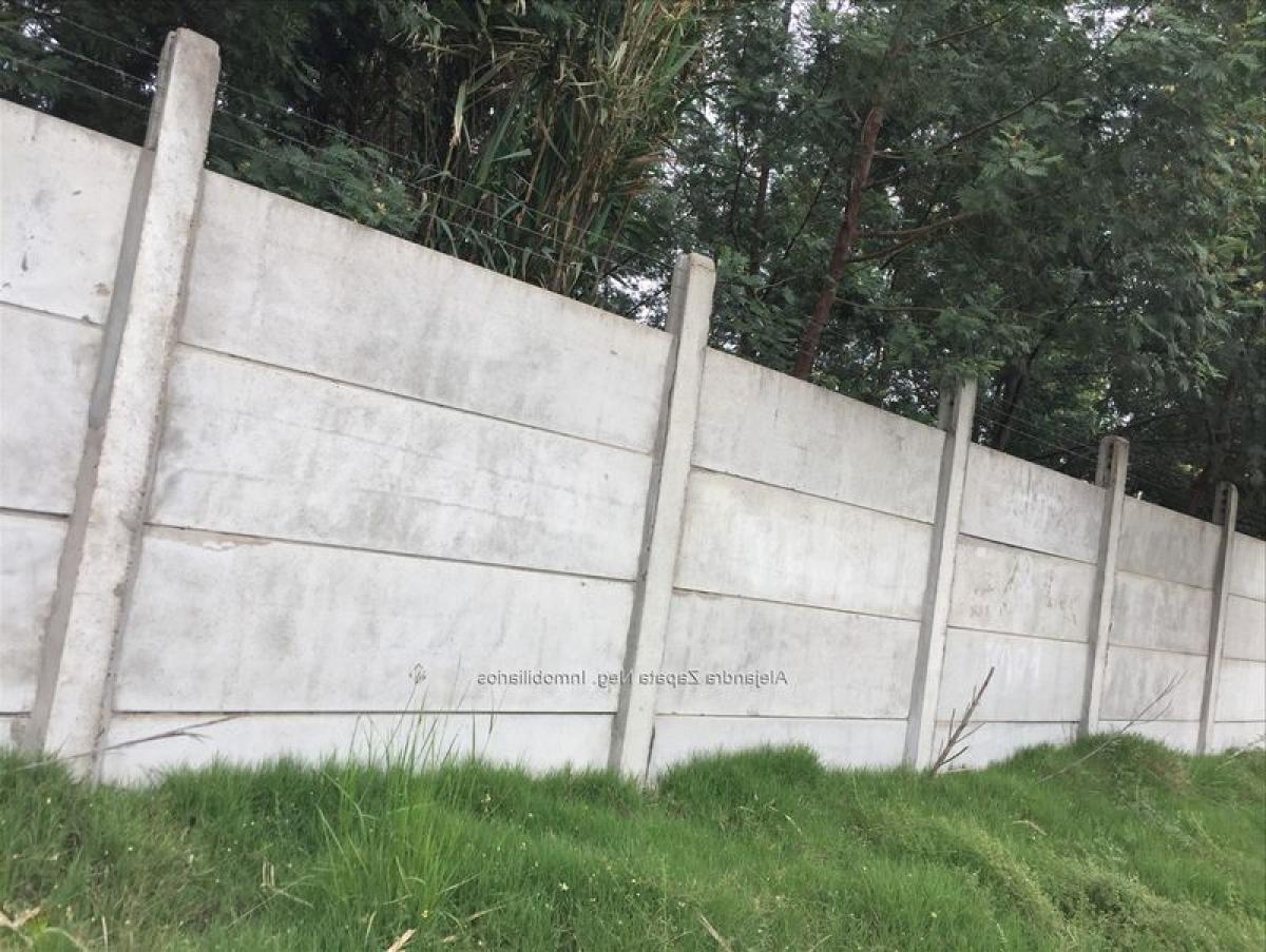 4 bedrooms House in Montevideo, Uruguay No. 10113