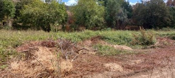 Grundstück in Gondomar, Portugal 9800m², Nr. 317680 7