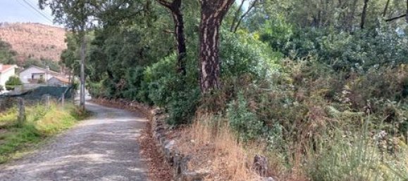 Grundstück in Gondomar, Portugal 9800m², Nr. 317680 12