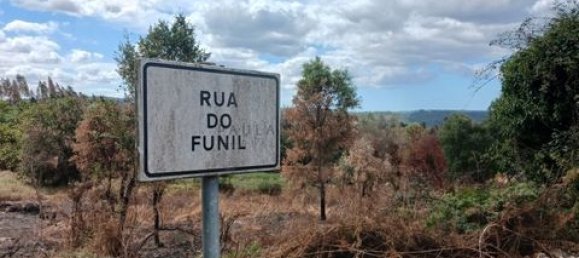 Grundstück in Gondomar, Portugal 9800m², Nr. 317680 11