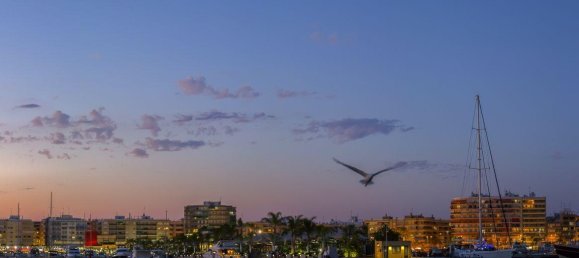 1 bedroom Apartment in Santa Pola, Spain No. 176832 27