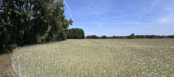 Terreno en Oder-Spree, Germany No. 284491 3