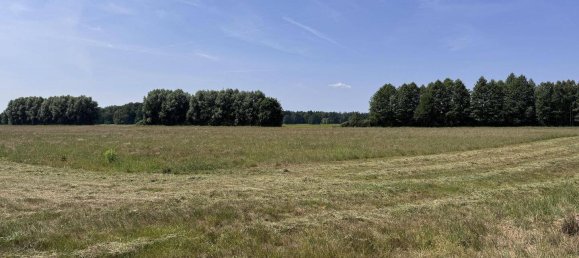 Terreno en Oder-Spree, Germany No. 284491 2