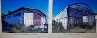 Almacén de 5 habitaciónes en Tarsia, Italy No. 209732