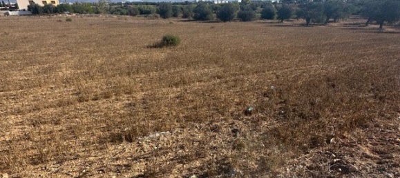 4598m² Land in Kokkinotrimithia, Cyprus No. 26252 2
