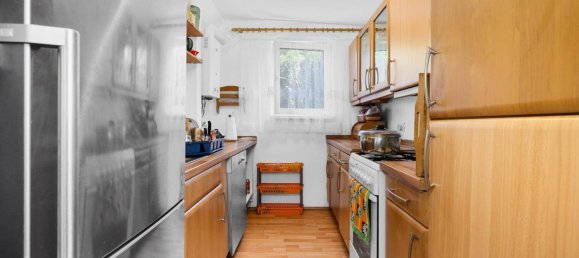 3 rooms House in Enzesfeld-Lindabrunn, Austria No. 193141 7