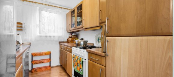 3 rooms House in Enzesfeld-Lindabrunn, Austria No. 193141 6