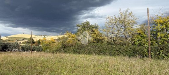 Grundstück in Sant'Egidio alla Vibrata, Italy 3200m², Nr. 41137 3