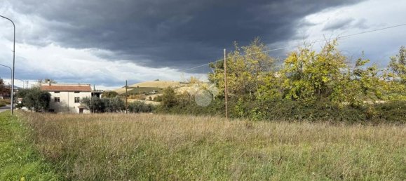 Grundstück in Sant'Egidio alla Vibrata, Italy 3200m², Nr. 41137 4