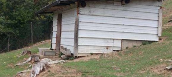 2 bedrooms Apartment in Pradalunga, Italy No. 204669 16