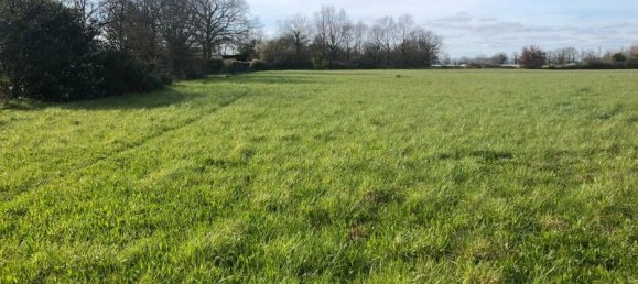 Grundstück in Saint-Philbert-de-Grand-Lieu, France 10045m², Nr. 100013 3