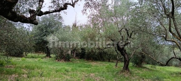 Земельный участок 2000м² в Вероли, Италия № 317274 6