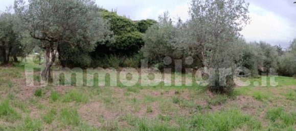 Земельный участок 2000м² в Вероли, Италия № 317274 7