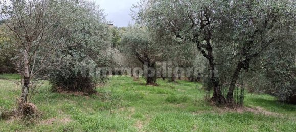 Земельный участок 2000м² в Вероли, Италия № 317274 8