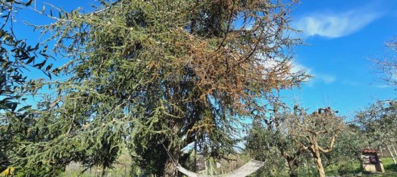 10 rooms House in Monteprandone, Italy No. 117363 24