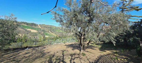 10 rooms House in Monteprandone, Italy No. 117363 25