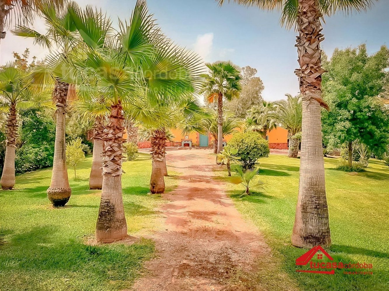 4 bedrooms House in Montoro, Spain No. 221244