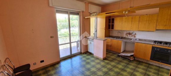 3 rooms Apartment in Sant'Olcese, Italy No. 173875 13