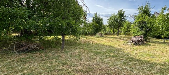 Terrain à Obernai, France 782m² No. 54377 5