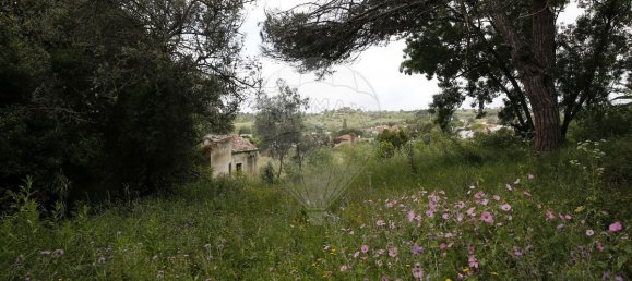 9 bedrooms House in Sintra, Portugal No. 119889 27