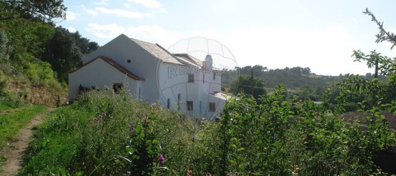 9 bedrooms House in Sintra, Portugal No. 119889 3