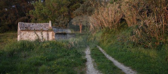 9 bedrooms House in Sintra, Portugal No. 119889 24