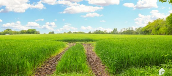 6 bedrooms House in Segeberg, Germany No. 81932 28