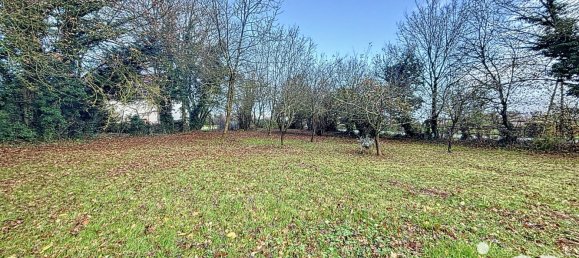 4 غرف نوم منزل في Neuilly-en-Dun, France رقم 62339 18