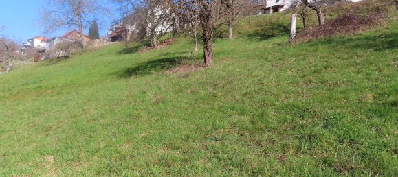 Terreno em Odenwaldkreis, Germany 1870 m² N.º 41566 4