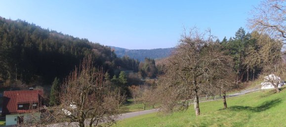 Terreno em Odenwaldkreis, Germany 1870 m² N.º 41566 3