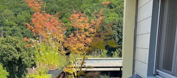 4 rooms Apartment in Kaltenleutgeben, Austria No. 191501 9