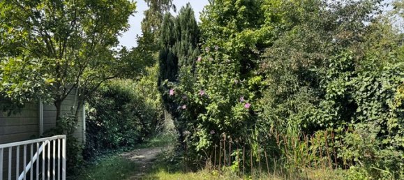 4-Zimmer Stadthaus in Münster, Germany, Nr. 326354 3