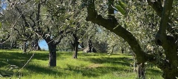 3 rooms Villa in Cartoceto, Italy No. 133564 2