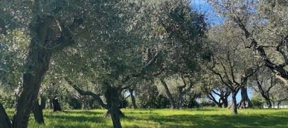 3 rooms Villa in Cartoceto, Italy No. 133564 3