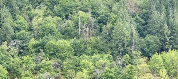 4 bedrooms Townhouse in Baden-Wurttemberg, Germany No. 18984 17